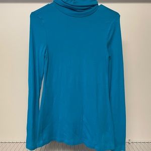 Blue turtleneck